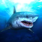 Survive on Raft (RU) - Чат и поддержка