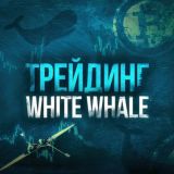 WhiteWhale_AT Chat