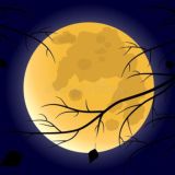 🦋ΛnimoonΛ🦋MUSIC🎧