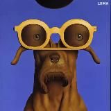 Афиша Черногории ☮️ теперь вы знаете, куда пойти! Концерты, выставки, карнавалы в Черногории — openmonte.com