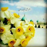 محبان امام زمان عجل الله تعالی فرجه الشریف