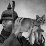 Собственно, вот..