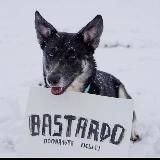 Бастардо блять