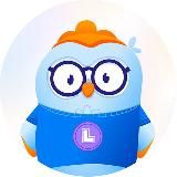 Уроки английского языка | LingvoHabit