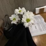 𝗺𝘂𝗻𝗮𝗾𝗮𝘀𝗮𝗮