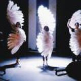 Всем бурлеск-чат!