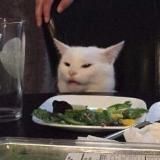 Мемы Фараид