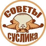 Советы от суслика