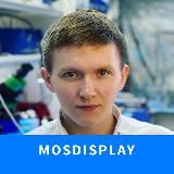 Сергей Родин Мосдисплей