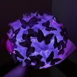 🦭 антюлень