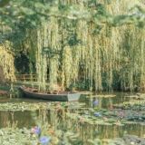 🧚♂Травницы🍄 Chat