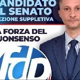 Forza del Popolo Canale Ufficiale