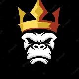 🎖️𝗜𝗟 𝗧𝗘𝗖𝗡𝗜𝗖𝗢