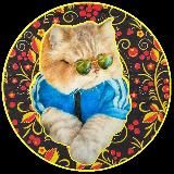 Котач🇷🇺🐈🌲