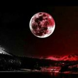 𝐌 𝐀 𝐋 𝐈 𝐁 𝐔 🐊