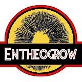 Entheogrow2🇺🇸