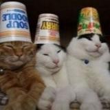 Подгорная проповедь