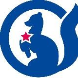 Пушкиномедиа | Пушкино ТВ