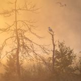 Экопоходы с Верёвченко.