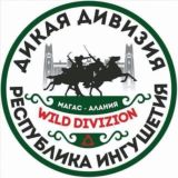 ДИКАЯ ДИВИЗИЯ