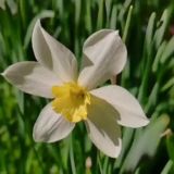 ✨Ароматныйчат✨