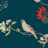 図書館. Комментарии