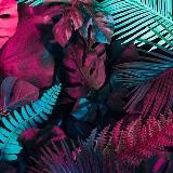 Слив | Brazzers 🔞