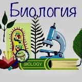 Биология - материалы для изучения