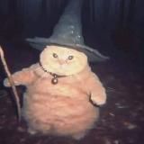 Опросы Слинкса