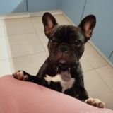 Лола и семья кожаных💞