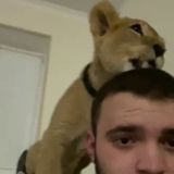 Давид | Betting Father