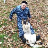 Чат - Служебная кинология (дрессировка собак)