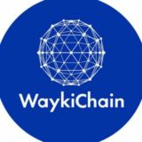 WaykiChain Pakistani A world leading public blockchain and decentralized finance eco-system