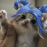 okikunai♡