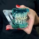 NOVODENTA+ клиника