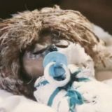 Aurelivoy | DCT 🔥