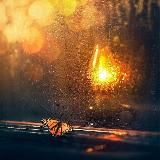 Просветление и отвага