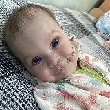 Подари жизнь Алисе Шевчик