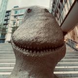 1/2🐓➝ 🐻❄️