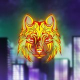 Вселенная Санкт-Эринбурга