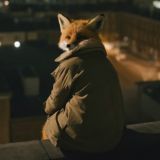 Fox free комменты