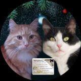 КЕС_ЭЛЬКА_СЧАСТЬЕ