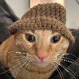 ۶ৎ opher cfg/redux