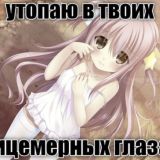 Котики комы