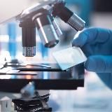 Гистология, патанатомия, цитология, морфология (патоморфология)