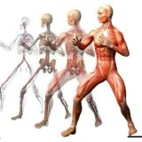 ❗ЛФК ФИТНЕС ДИЕТОЛОГИЯ РЕАБИЛИТАЦИЯ МАНУАЛЬНАЯ ТЕРАПИЯ БИОХИМИЯ