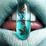 Работа🌲Чат🌲Пермь🌲Краснокамск🌲Нытва🌲Верещагино🌲Кудымкар🌲Кунгур🌲Чернушка🌲Чусовой🌲Лысьва🌲Горнозаводск🌲Александровск🌲Липецк🌲Губаха