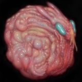 Лимонные комментарии