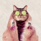 И кожа, и одёжа