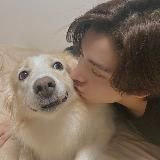 rest | (no) joke! english🇬🇧